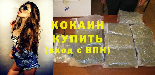 дживик Касимов
